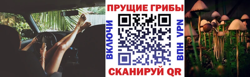 Галлюциногенные грибы GOLDEN TEACHER  Алексеевка 